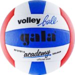 Мяч волейбольный GALA Academy, арт. BV5181S, р. 5