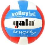 Мяч волейбольный GALA School Foam Colour, арт. BV5511S, р. 5