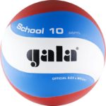 Мяч волейбольный GALA School 10, арт. BV5711S, р. 5