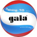 Мяч волейбольный GALA Training 10, арт. BV5561S, р. 5