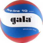 Мяч волейбольный GALA Pro-Line 10, арт. BV5581S, р. 5,синт.кожа ПУ Microfiber
