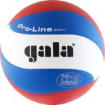Мяч волейбольный GALA Pro-Line 10 FIVB, арт.BV5591S, р. 5, Microfiber, FIVB Appr